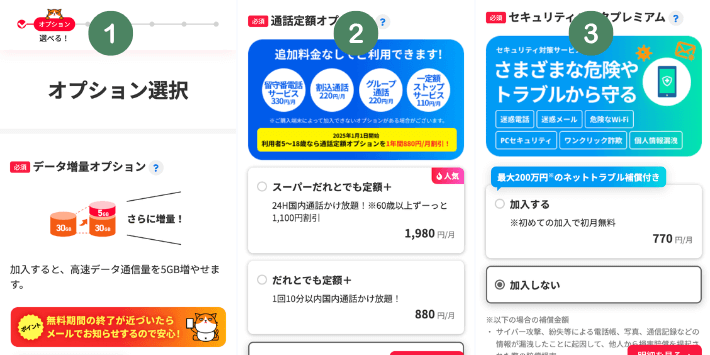 オプションを選択する