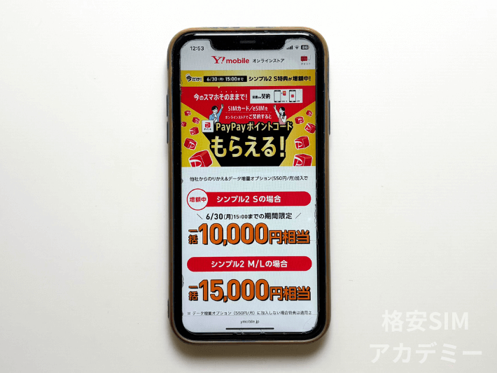 10周年大感謝祭 SIM/eSIM特典リニューアルキャンペーン