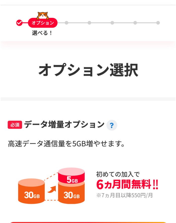 各種オプションを選択する