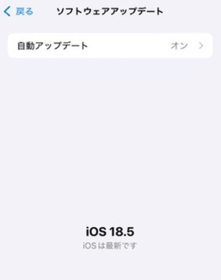 iOSの確認画面