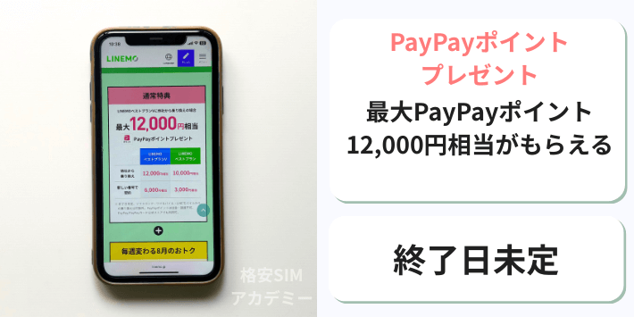 PayPayポイントプレゼントキャンペーン
