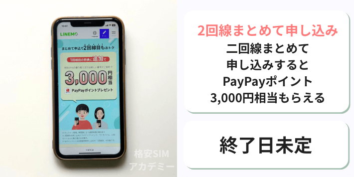 2回線まとめて申し込みキャンペーン