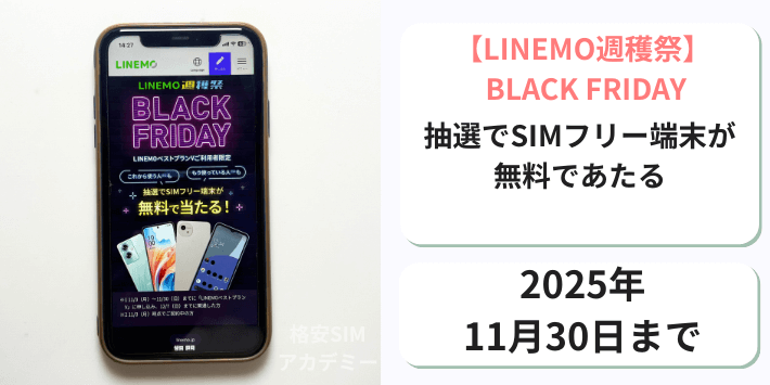 【週穫祭】BLACK FRIDAY
