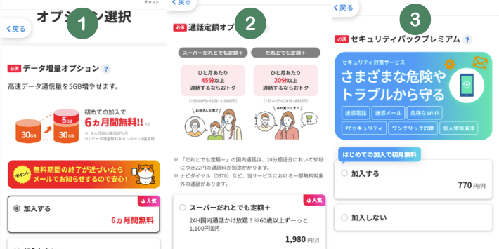 オプションを選択する