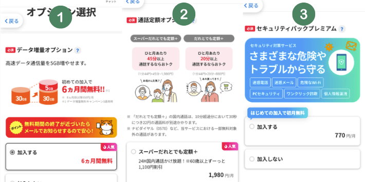 オプションを選択する